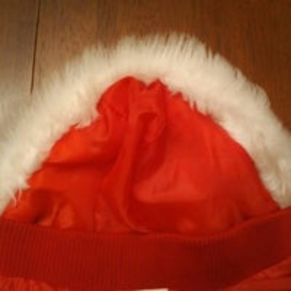 Dog Jacket, Martha Stewart Pets, Medium - Picture 6 of 8